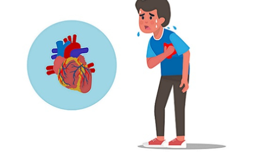 Rehabilitation of patients after myocardial infarction (recovery)