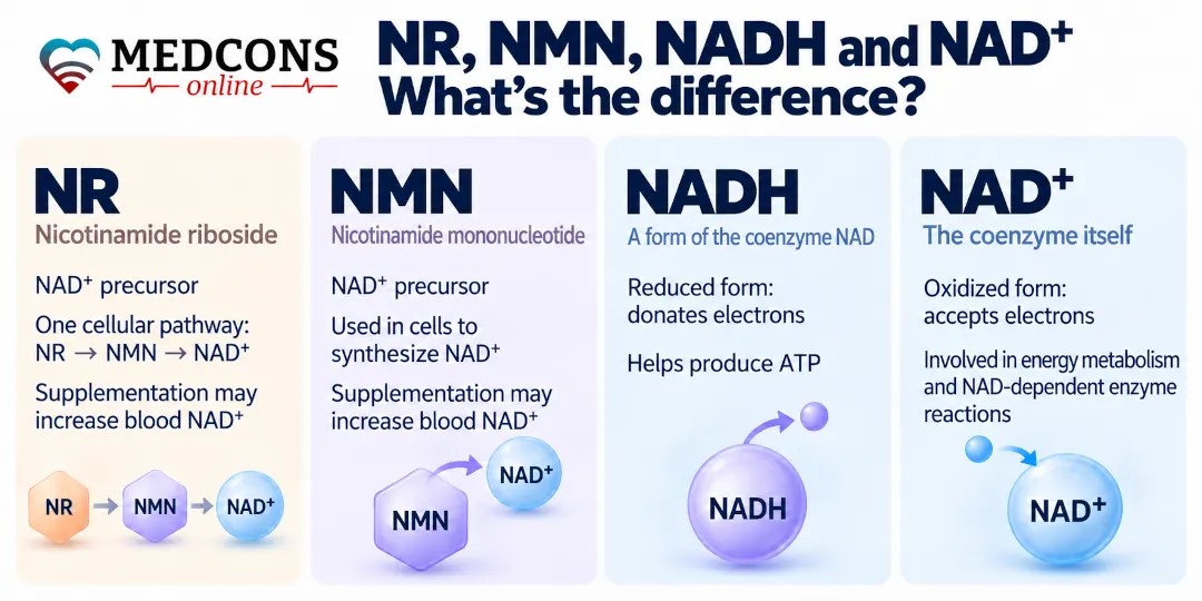 Comparison of NR, NADH, NAD+ and NMN by their features and function