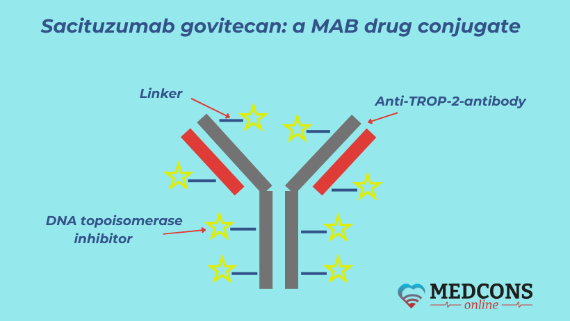 Sacituzumab govitecan structural composition  